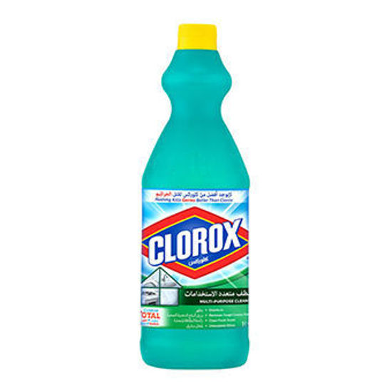 Picture of Clorox Multipurpose Disinfectant 1 lt – Set of 3